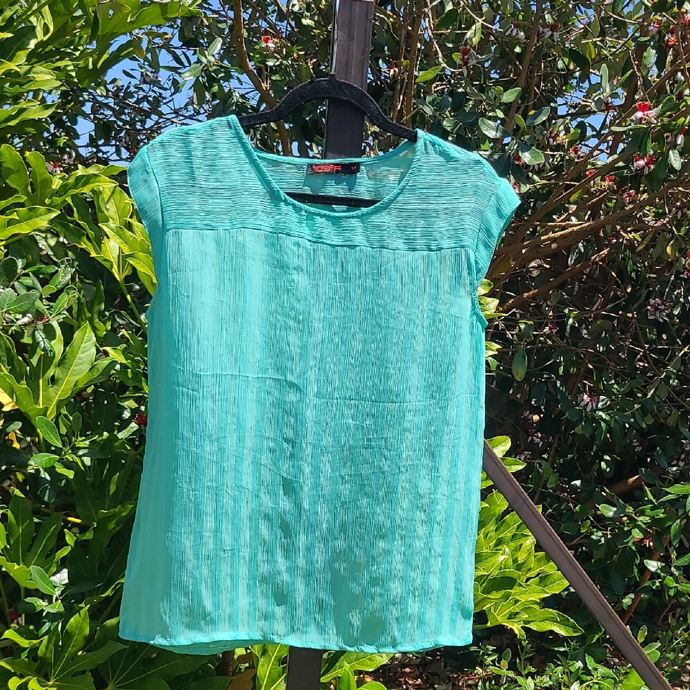 109°F Green Sheer Stripe Cap Sleeve Blouse with Relaxed Fit Size Medium